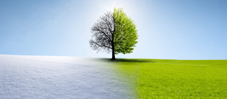 Le_Pharmacien_de_France